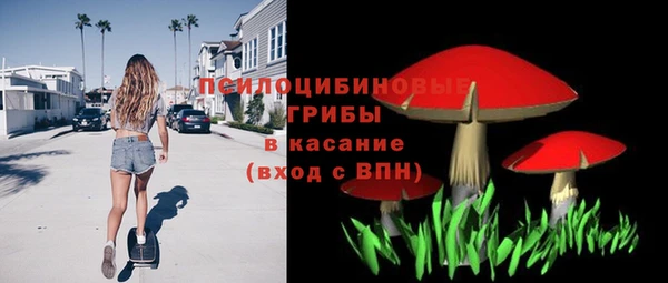 молекула духа Аркадак