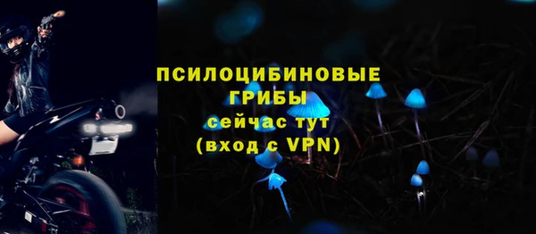 бошки Арсеньев