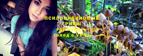 молекула духа Аркадак