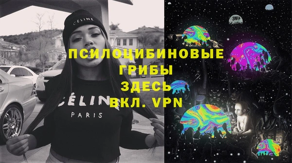 молекула духа Аркадак