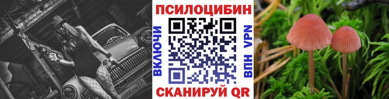 Галлюциногенные грибы Psilocybine cubensis  Межгорье 